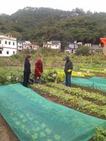 20100215Farm Visit23.jpg